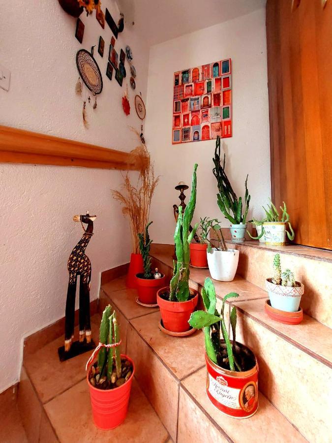 Incredible Apartment With A Mountain View - Matka Skopje Ngoại thất bức ảnh