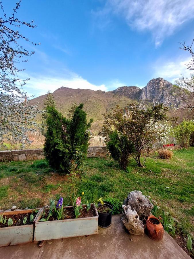 Incredible Apartment With A Mountain View - Matka Skopje Ngoại thất bức ảnh
